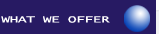 What We Offer